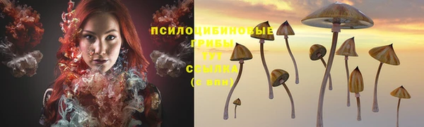 стафф Алзамай